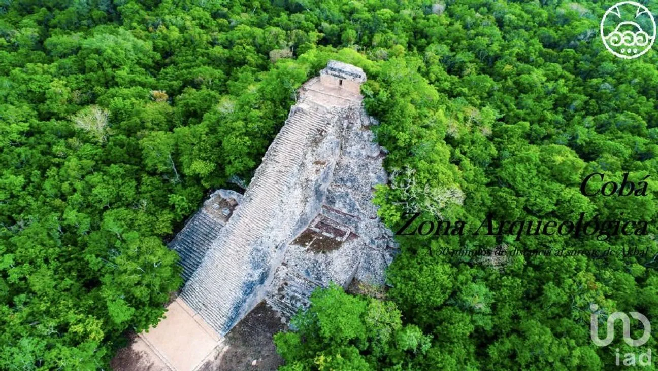 Terreno en Venta en Hunukú, Temozón, Yucatán | NEX-58555 | iad México | Foto 3 de 14