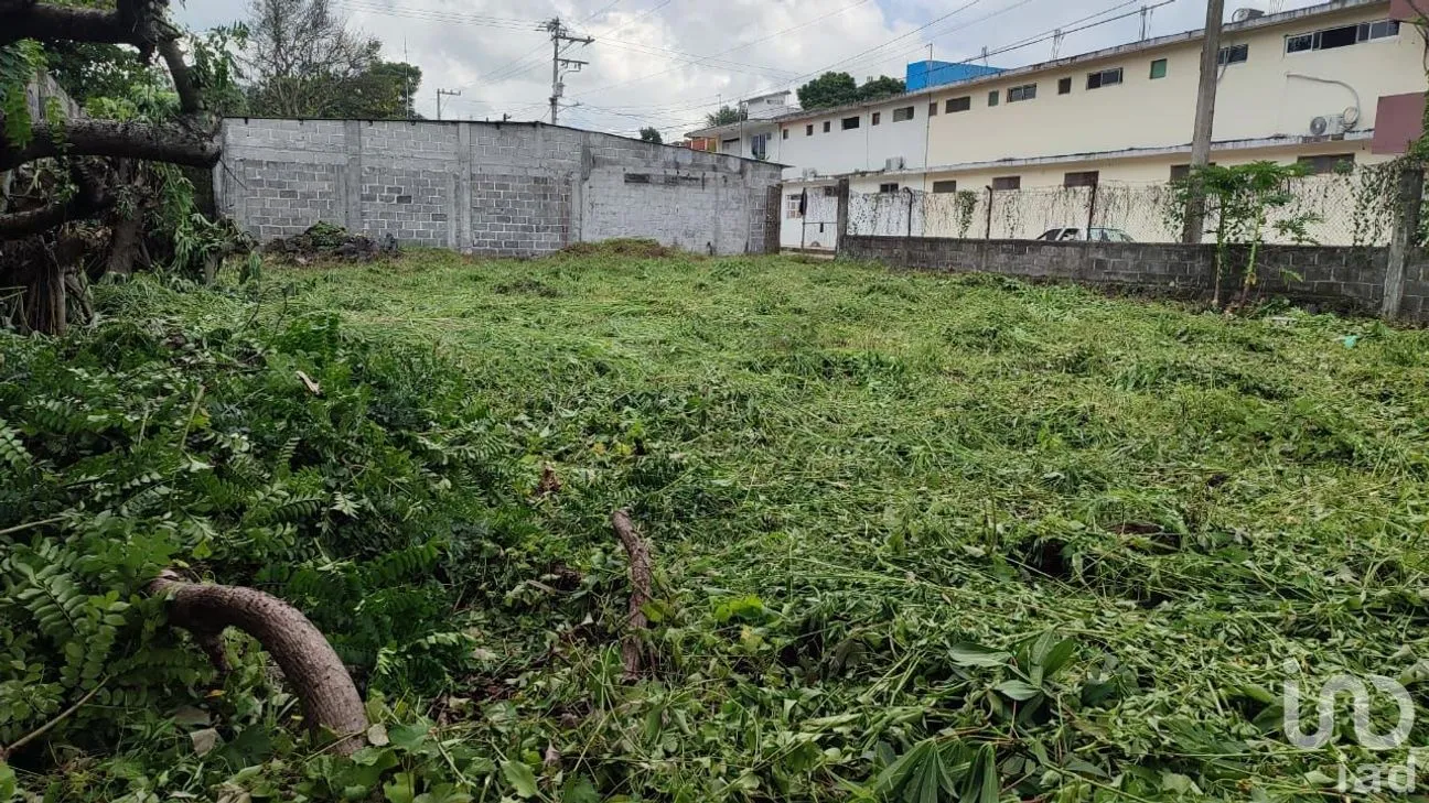 Terreno en Venta en Catemaco, Catemaco, Veracruz de Ignacio de la Llave | NEX-153291 | iad México | Foto 2 de 9