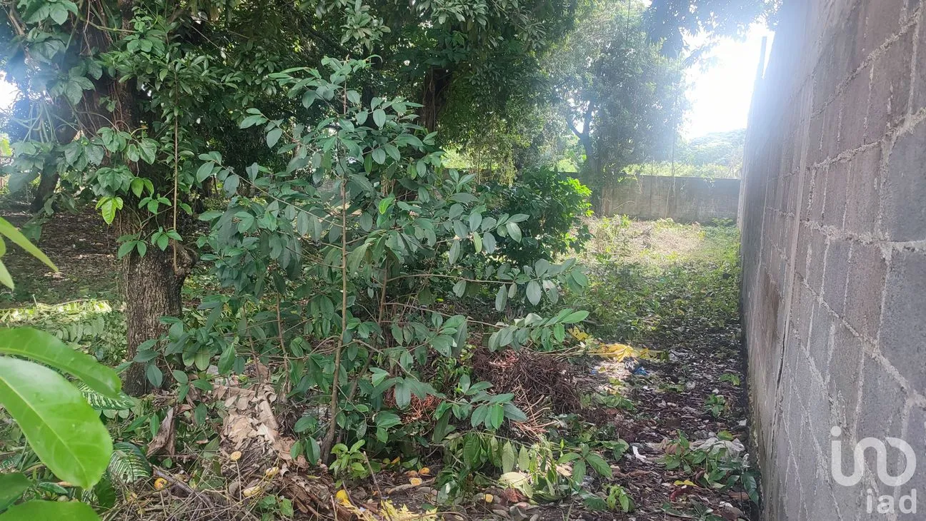 Terreno en Venta en Lindavista, Catemaco, Veracruz de Ignacio de la Llave | NEX-153357 | iad México | Foto 5 de 13