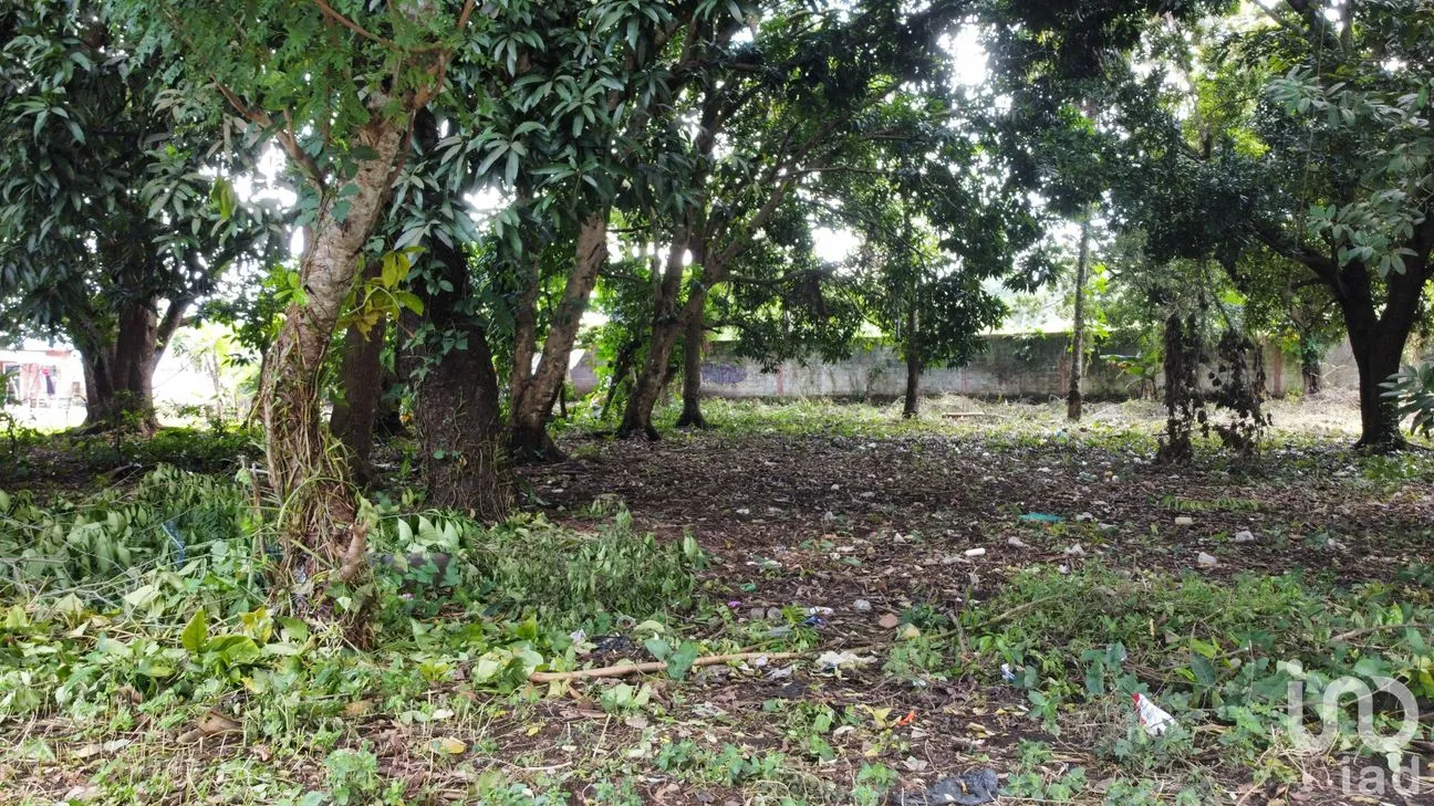 Terreno en Venta en Lindavista, Catemaco, Veracruz de Ignacio de la Llave | NEX-153357 | iad México | Foto 3 de 13