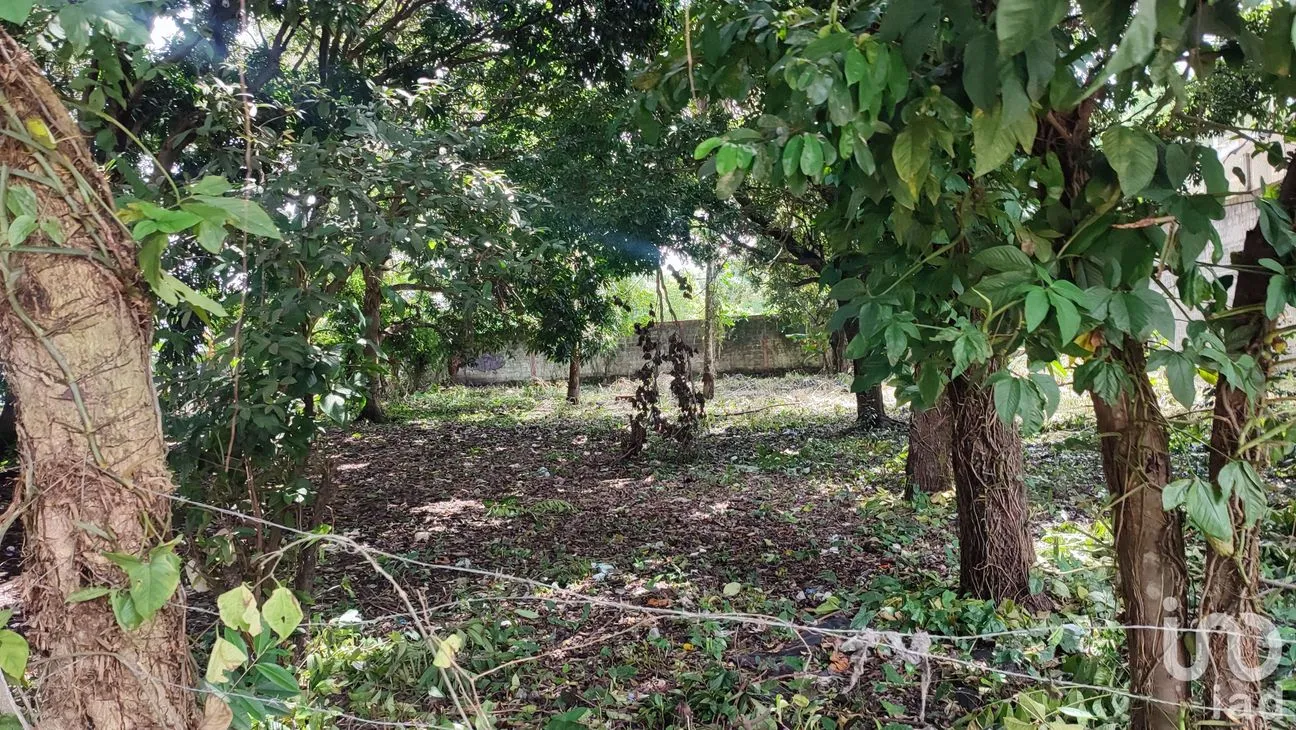 Terreno en Venta en Lindavista, Catemaco, Veracruz de Ignacio de la Llave | NEX-153357 | iad México | Foto 8 de 13