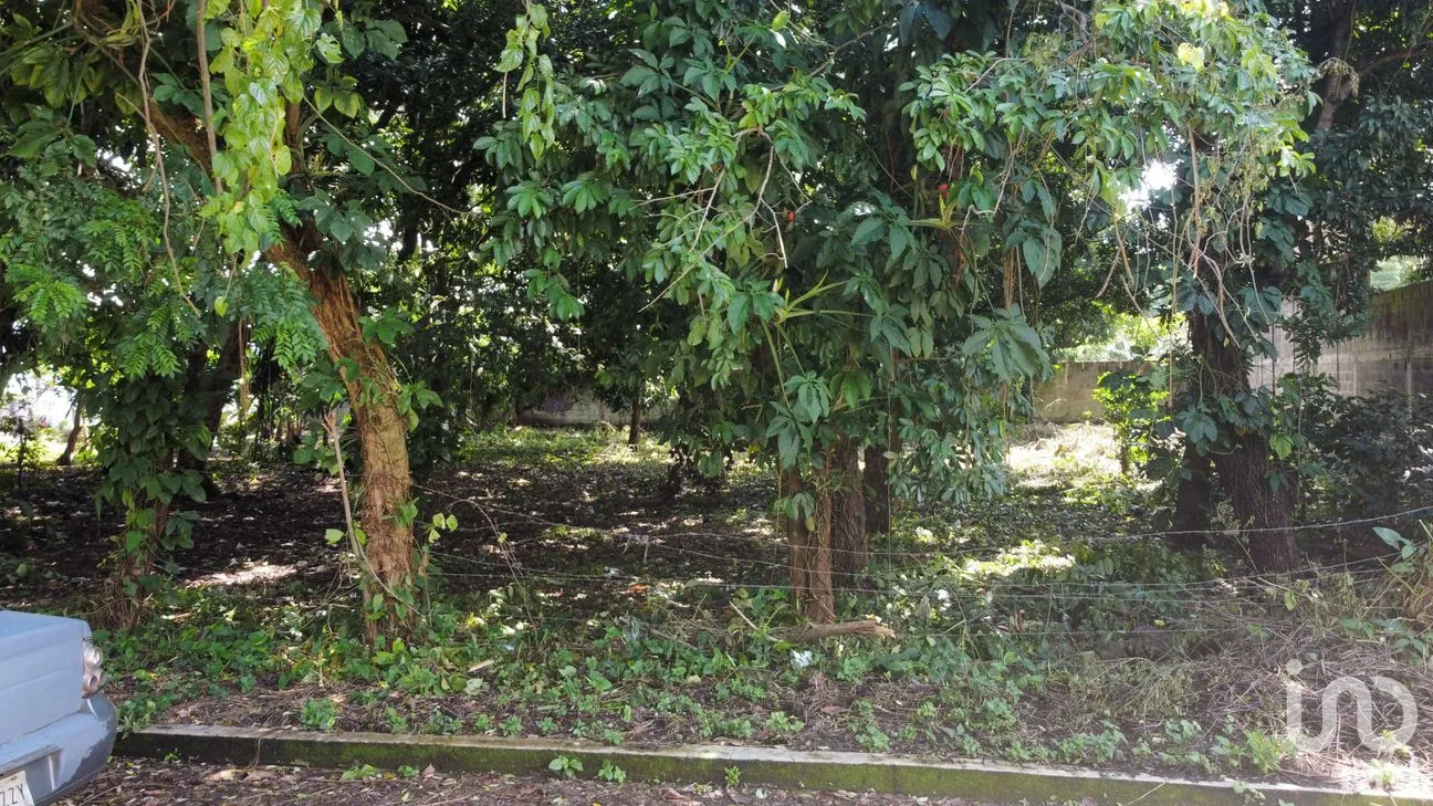 Terreno en Venta en Lindavista, Catemaco, Veracruz de Ignacio de la Llave | NEX-153357 | iad México | Foto 2 de 13