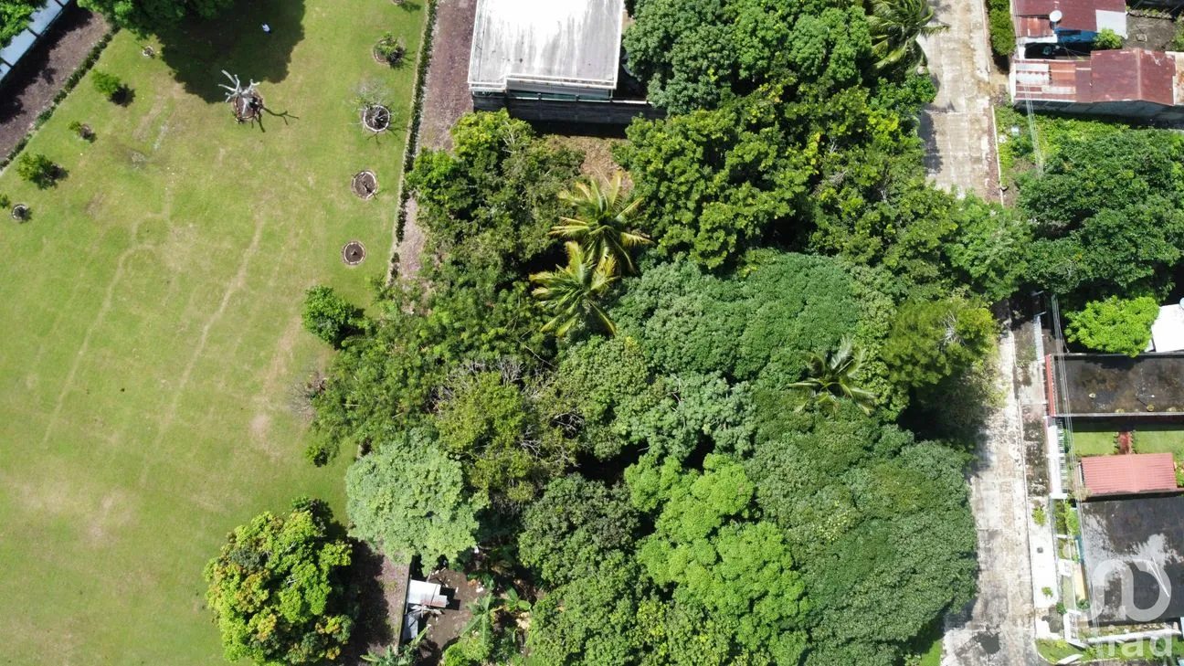 Terreno en Venta en Lindavista, Catemaco, Veracruz de Ignacio de la Llave | NEX-153357 | iad México | Foto 13 de 13