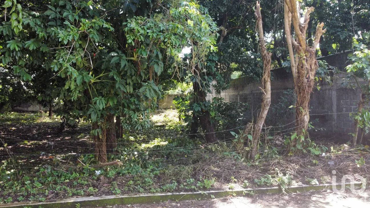 Terreno en Venta en Lindavista, Catemaco, Veracruz de Ignacio de la Llave | NEX-153357 | iad México | Foto 1 de 13