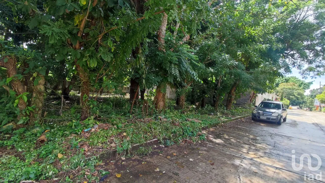 Terreno en Venta en Lindavista, Catemaco, Veracruz de Ignacio de la Llave | NEX-153357 | iad México | Foto 7 de 13