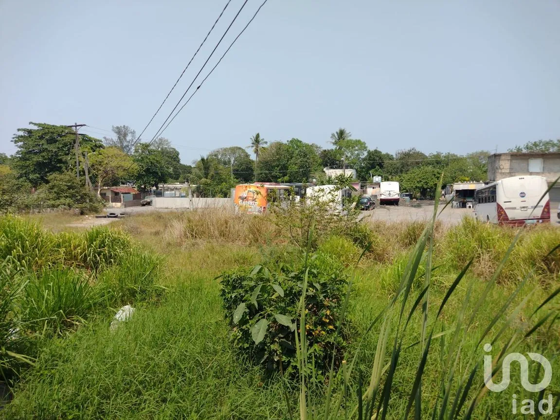 Terreno en Venta en Mata de Pita, Veracruz, Veracruz de Ignacio de la Llave | NEX-204089 | iad México | Foto 7 de 10