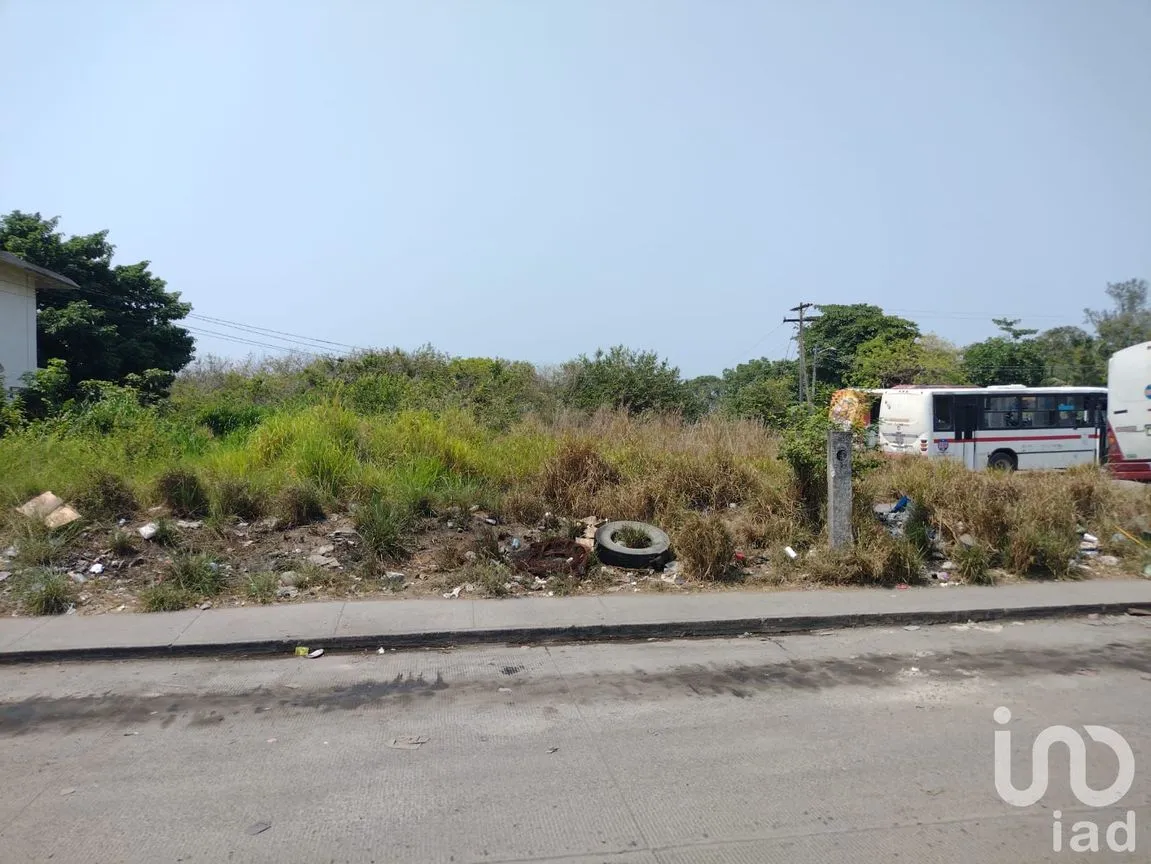 Terreno en Venta en Mata de Pita, Veracruz, Veracruz de Ignacio de la Llave | NEX-204089 | iad México | Foto 10 de 10