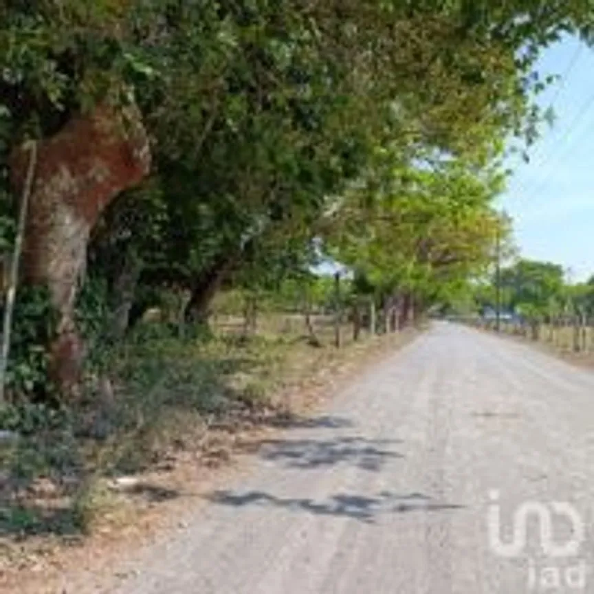 Terreno en Venta en La Esperanza, Medellín de Bravo, Veracruz de Ignacio de la Llave | NEX-249409 | iad México | Foto 15 de 17