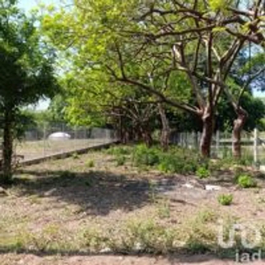 Terreno en Venta en La Esperanza, Medellín de Bravo, Veracruz de Ignacio de la Llave | NEX-249409 | iad México | Foto 3 de 17