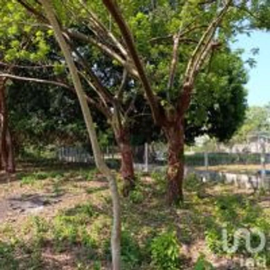 Terreno en Venta en La Esperanza, Medellín de Bravo, Veracruz de Ignacio de la Llave | NEX-249409 | iad México | Foto 4 de 17