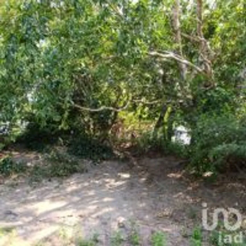 Terreno en Venta en La Esperanza, Medellín de Bravo, Veracruz de Ignacio de la Llave | NEX-249409 | iad México | Foto 9 de 17