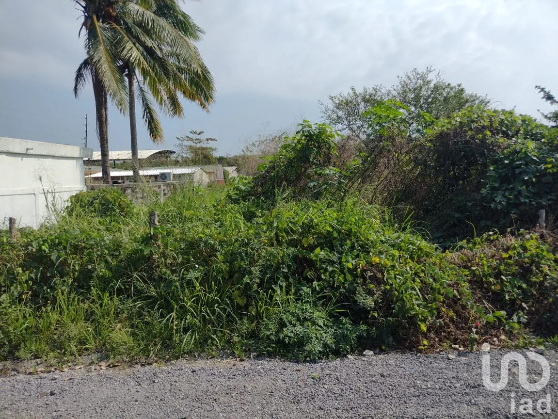 Terreno en Venta en Las Bajadas, Veracruz, Veracruz de Ignacio de la Llave | NEX-49621 | iad México | Foto 6 de 9