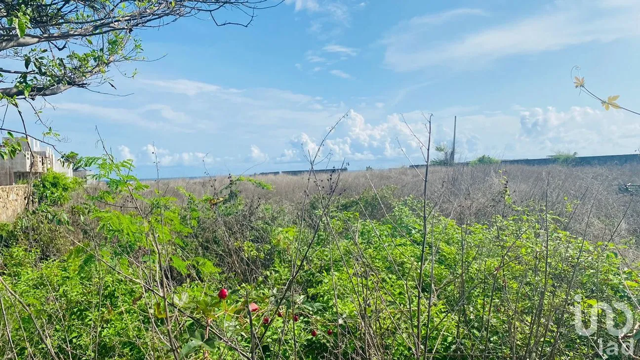 Terreno en Venta en Barra de Coyuca, Coyuca de Benítez, Guerrero | NEX-150503 | iad México | Foto 8 de 11