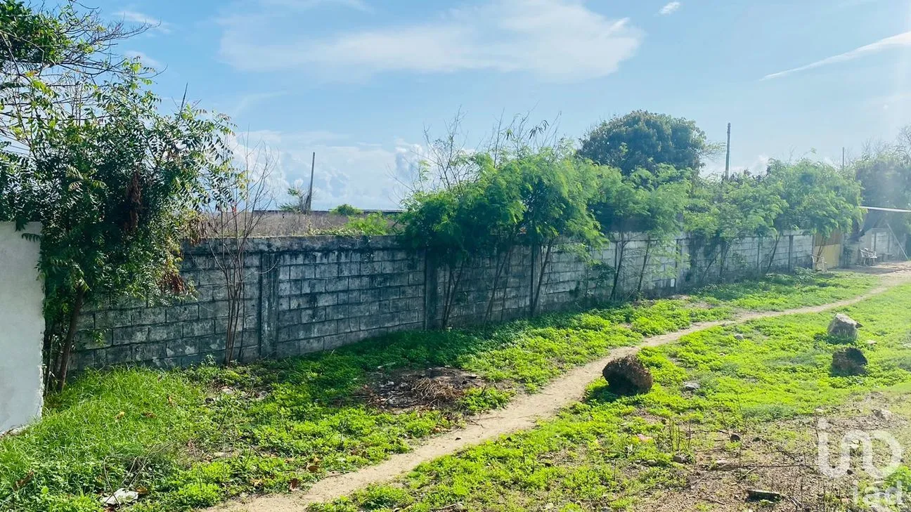 Terreno en Venta en Barra de Coyuca, Coyuca de Benítez, Guerrero | NEX-150503 | iad México | Foto 5 de 11
