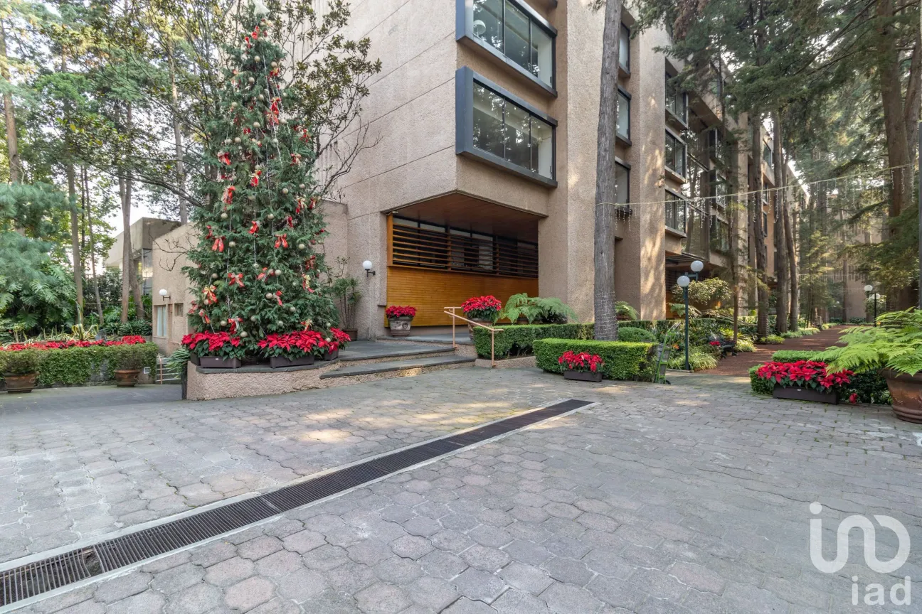 Departamento en Venta en Bosques del Pedregal, Tlalpan, Ciudad de México | NEX-161594 | iad México | Foto 35 de 50