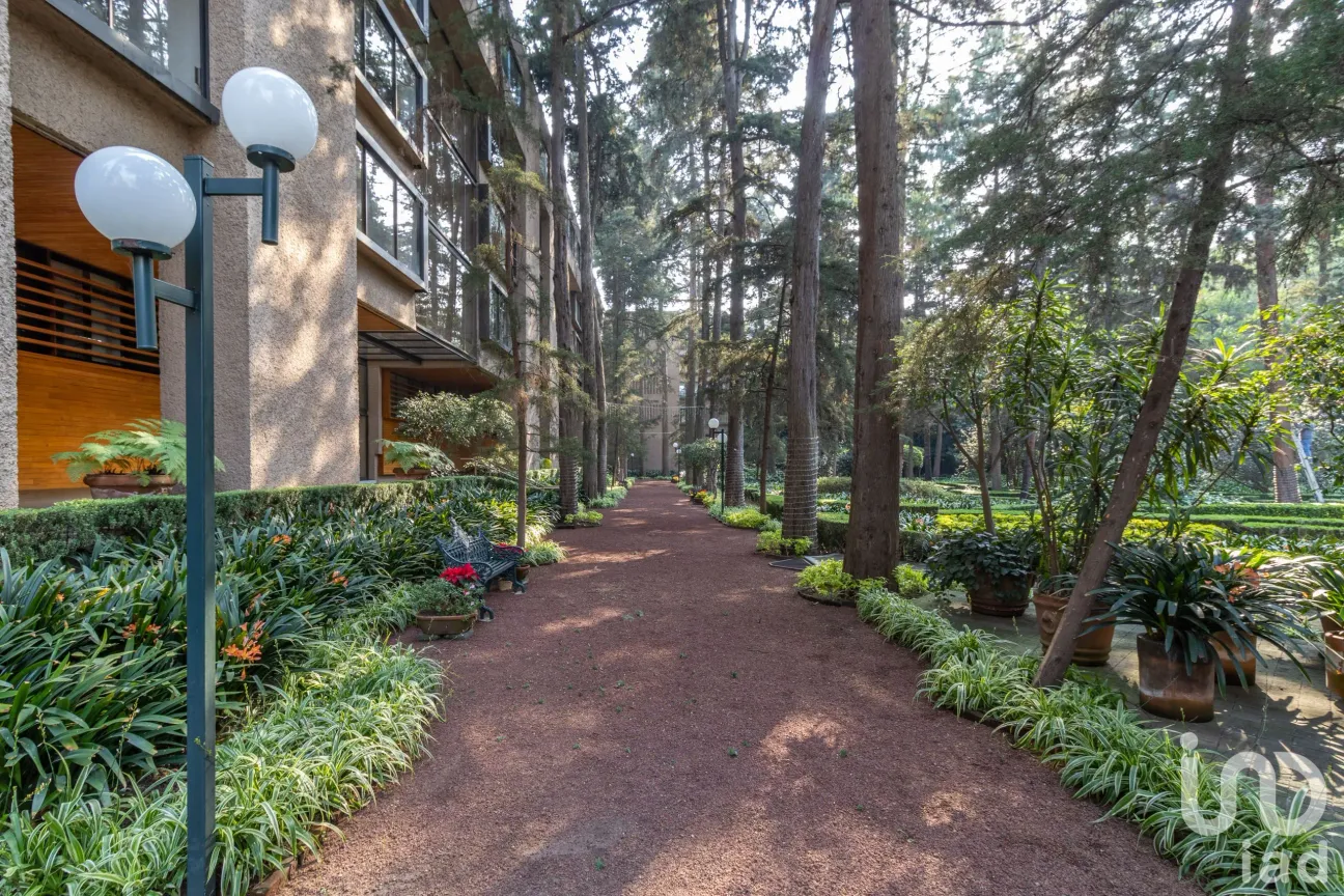 Departamento en Venta en Bosques del Pedregal, Tlalpan, Ciudad de México | NEX-161594 | iad México | Foto 48 de 50