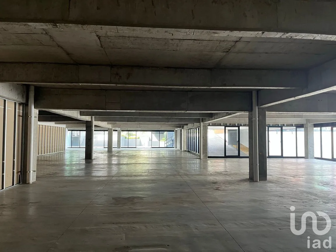 Local en Renta en Tlalpan Centro, Tlalpan, Ciudad de México | NEX-193312 | iad México | Foto 14 de 24