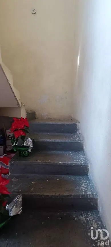 Casa en Venta en San Lorenzo Huipulco, Tlalpan, Ciudad de México | NEX-237929 | iad México | Foto 16 de 19