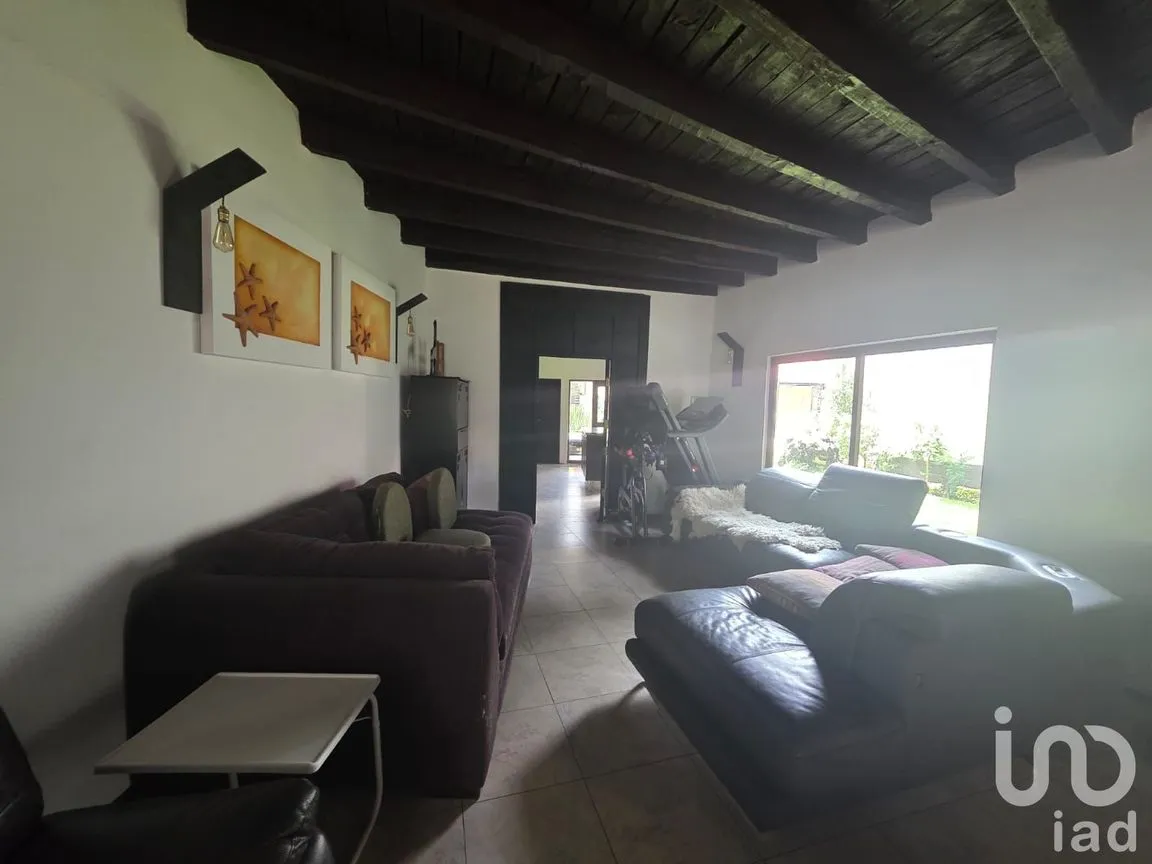 Departamento en Renta en Bosques de Tetlameya, Coyoacán, Ciudad de México | NEX-257118 | iad México | Foto 5 de 11