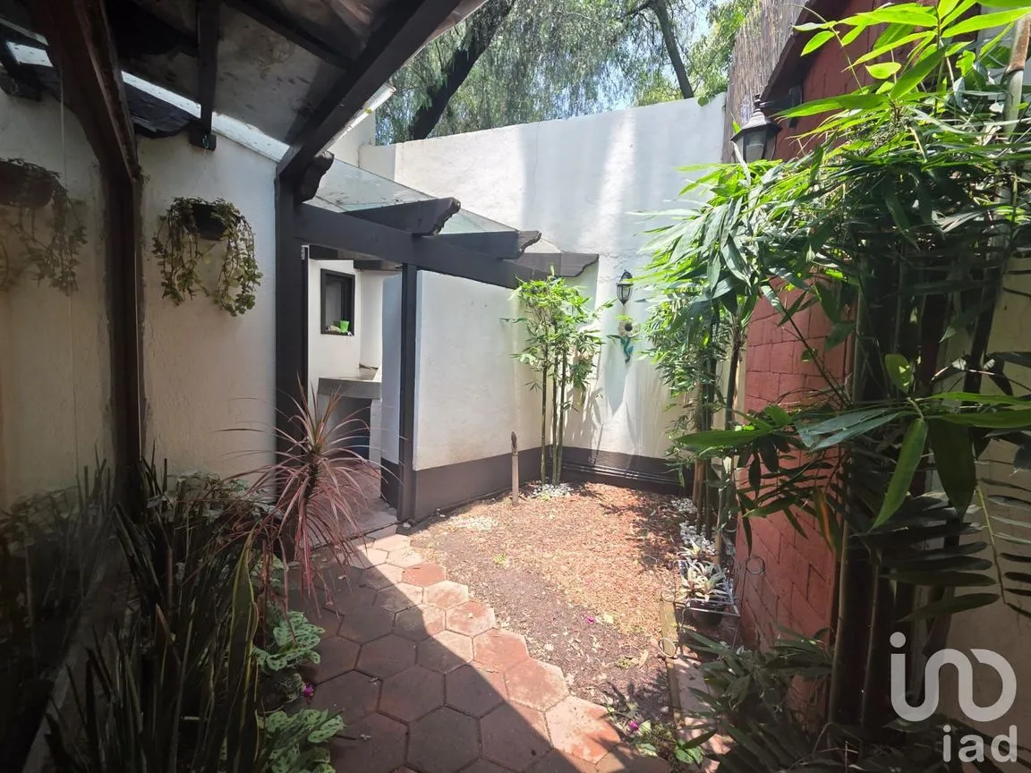 Departamento en Renta en Bosques de Tetlameya, Coyoacán, Ciudad de México | NEX-257118 | iad México | Foto 7 de 11