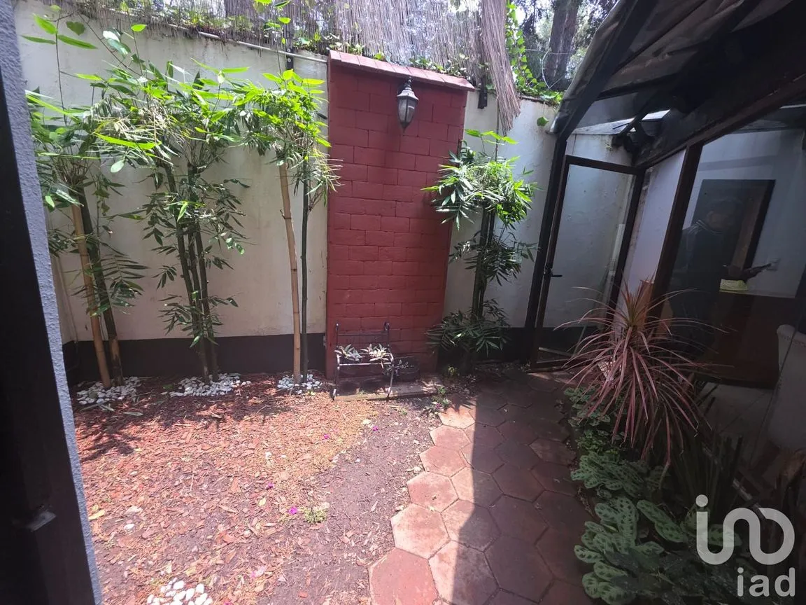 Departamento en Renta en Bosques de Tetlameya, Coyoacán, Ciudad de México | NEX-257118 | iad México | Foto 10 de 11