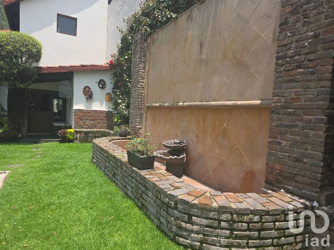 Oficina en Renta en Bosques de Tetlameya, Coyoacán, Ciudad de México | NEX-257235 | iad México | Foto 10 de 10
