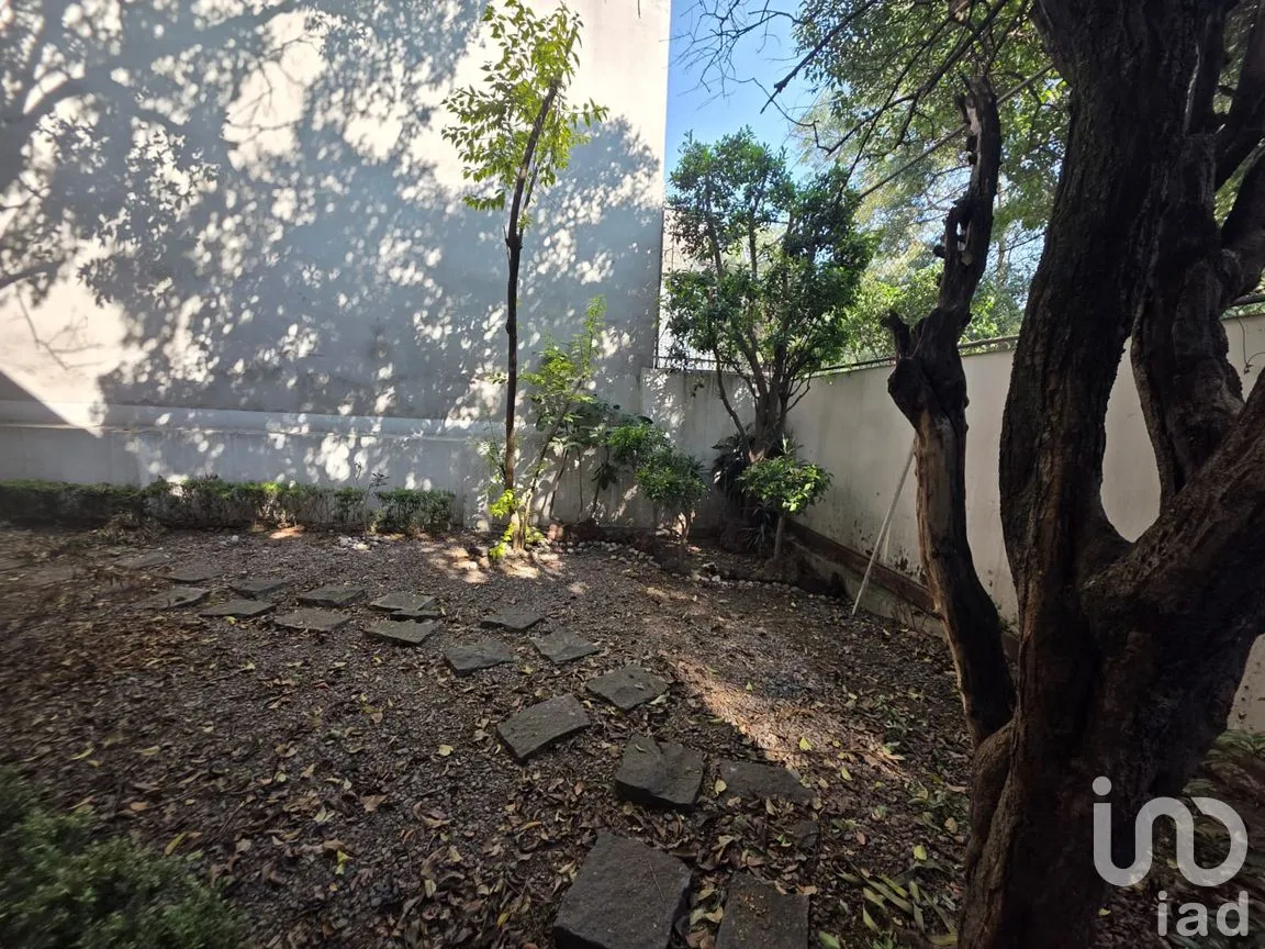 Oficina en Renta en Oxtopulco Universidad, Coyoacán, Ciudad de México | NEX-263288 | iad México | Foto 9 de 11