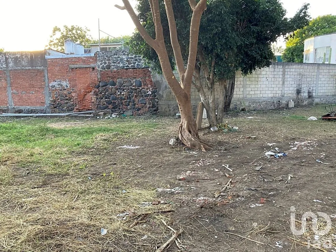 Terreno en Venta en Emiliano Zapata, Cuautla, Morelos | NEX-246324 | iad México | Foto 13 de 15