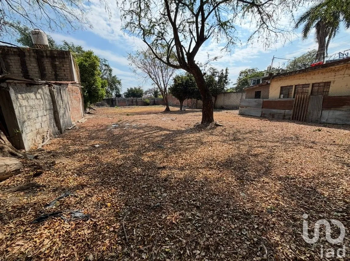 Terreno en Venta en Emiliano Zapata, Cuautla, Morelos | NEX-246324 | iad México | Foto 3 de 15