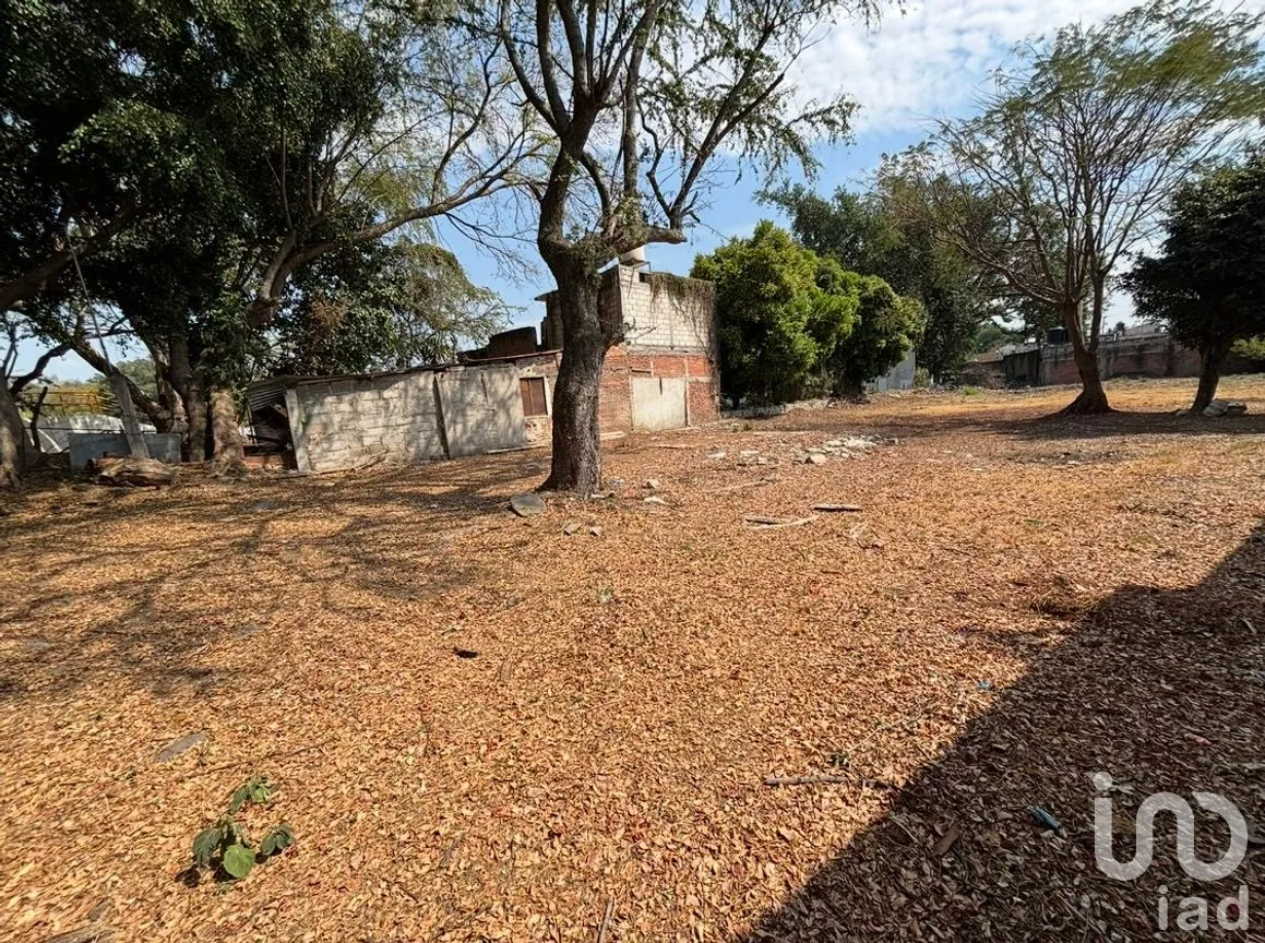 Terreno en Venta en Emiliano Zapata, Cuautla, Morelos | NEX-246324 | iad México | Foto 4 de 15