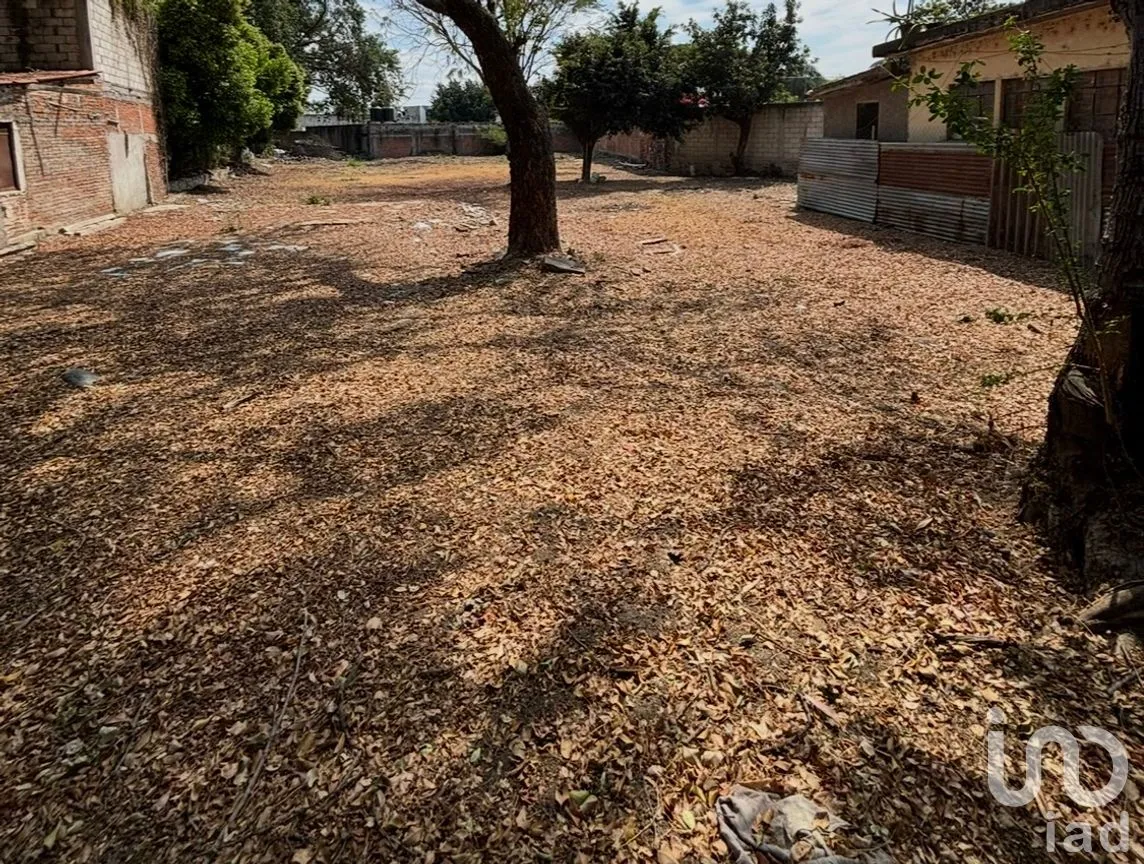Terreno en Venta en Emiliano Zapata, Cuautla, Morelos | NEX-246324 | iad México | Foto 5 de 15