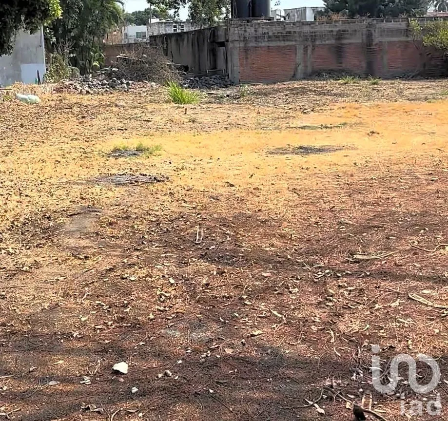 Terreno en Venta en Emiliano Zapata, Cuautla, Morelos | NEX-246324 | iad México | Foto 6 de 15