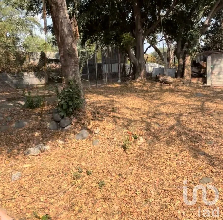 Terreno en Venta en Emiliano Zapata, Cuautla, Morelos | NEX-246324 | iad México | Foto 9 de 15