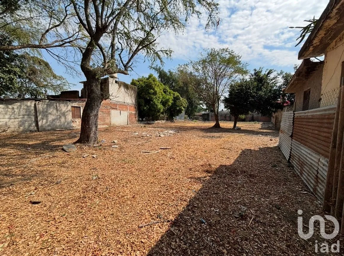 Terreno en Venta en Emiliano Zapata, Cuautla, Morelos | NEX-246324 | iad México | Foto 1 de 15