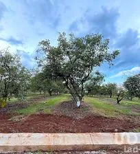 NEX-261123 - Terreno en Venta en Chiquilistlan, CP 48640, Jalisco.