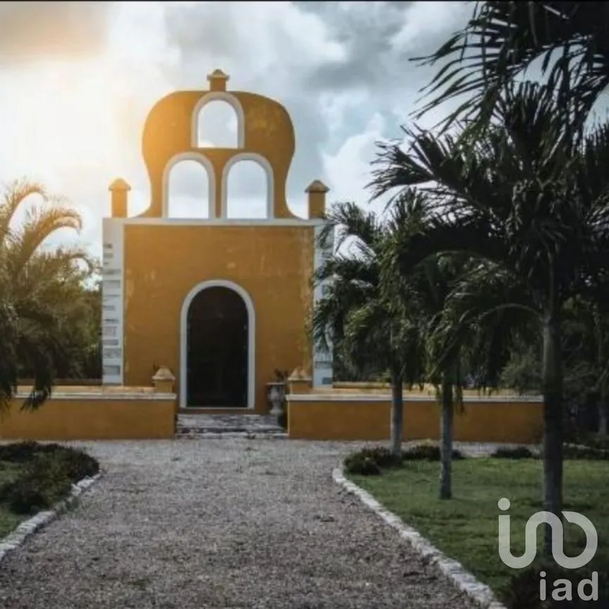 Terreno en Venta en Timul, Motul, Yucatán | NEX-59489 | iad México | Foto 14 de 18