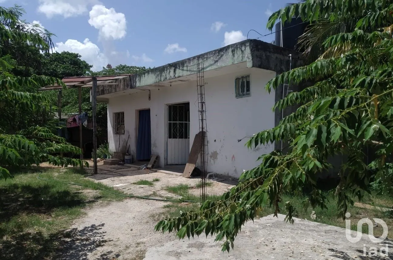 Terreno en Venta en Ejidal, Solidaridad, Quintana Roo | NEX-178957 | iad México | Foto 4 de 5
