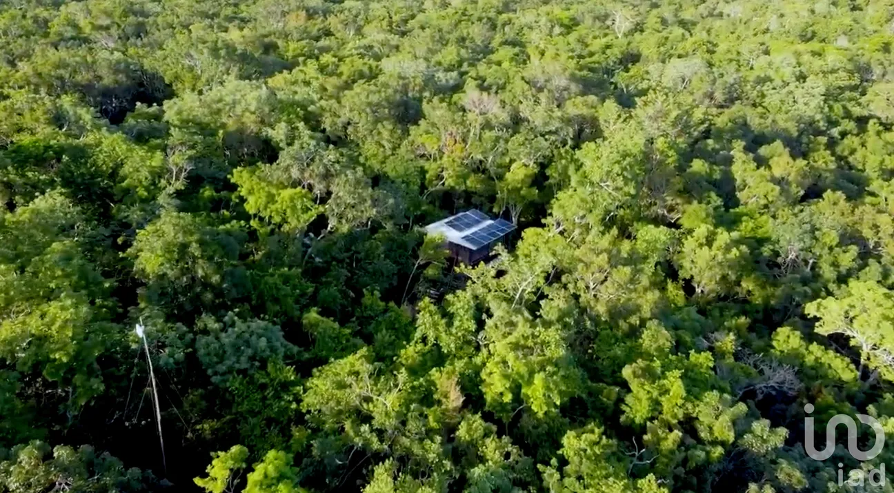 Terreno en Venta en Tulum Centro, Tulum, Quintana Roo | NEX-233186 | iad México | Foto 1 de 11