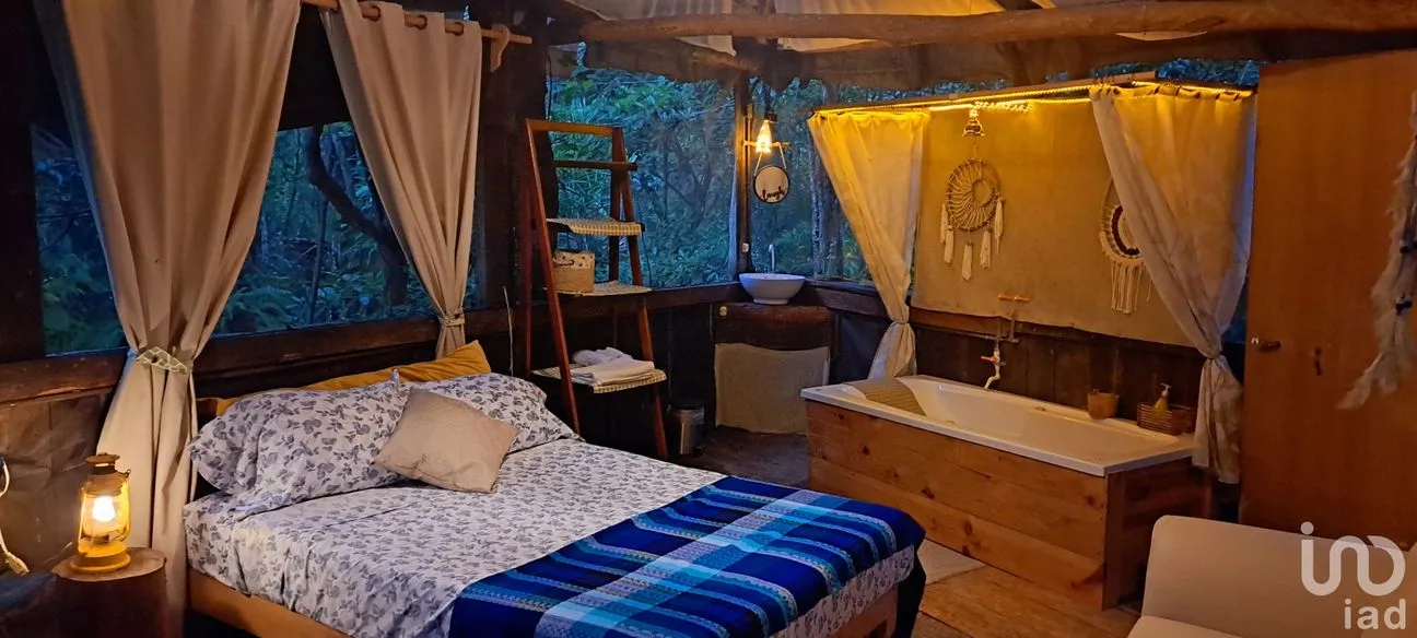 Terreno en Venta en Puerto Morelos, Puerto Morelos, Quintana Roo | NEX-160555 | iad México | Foto 27 de 48