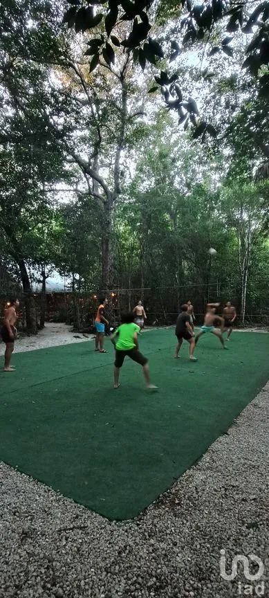 Terreno en Venta en Puerto Morelos, Puerto Morelos, Quintana Roo | NEX-160555 | iad México | Foto 28 de 48