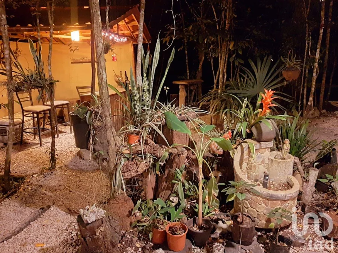 Terreno en Venta en Puerto Morelos, Puerto Morelos, Quintana Roo | NEX-160555 | iad México | Foto 4 de 48