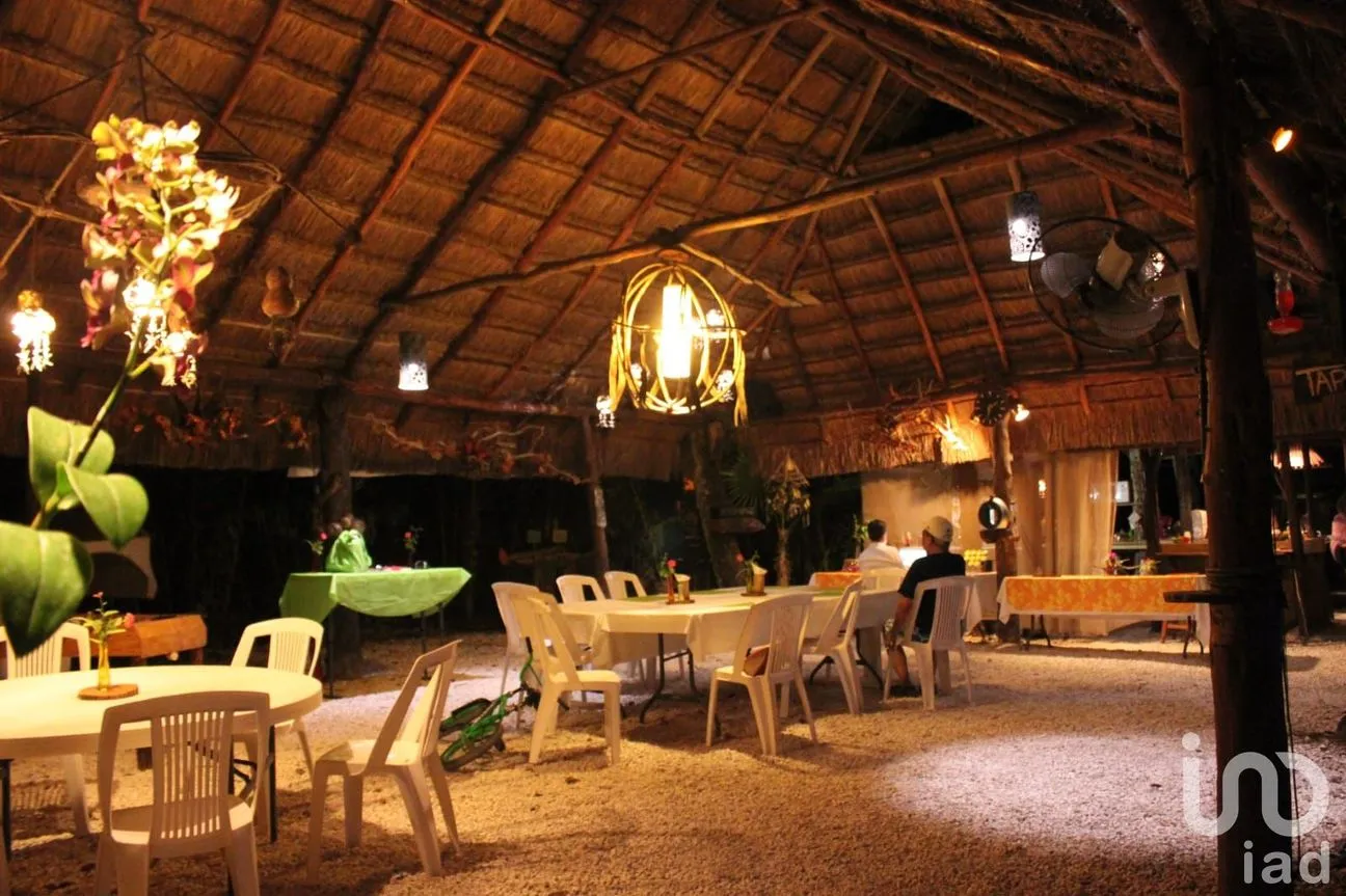 Terreno en Venta en Puerto Morelos, Puerto Morelos, Quintana Roo | NEX-160555 | iad México | Foto 41 de 48