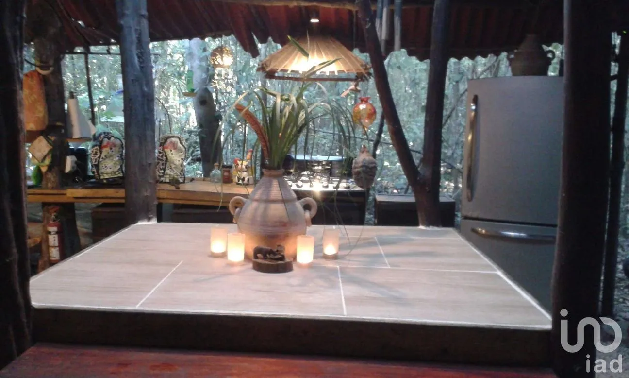 Terreno en Venta en Puerto Morelos, Puerto Morelos, Quintana Roo | NEX-160555 | iad México | Foto 42 de 48