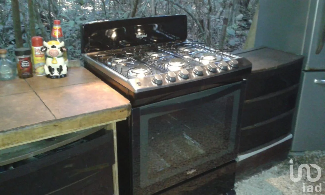 Terreno en Venta en Puerto Morelos, Puerto Morelos, Quintana Roo | NEX-160555 | iad México | Foto 43 de 48