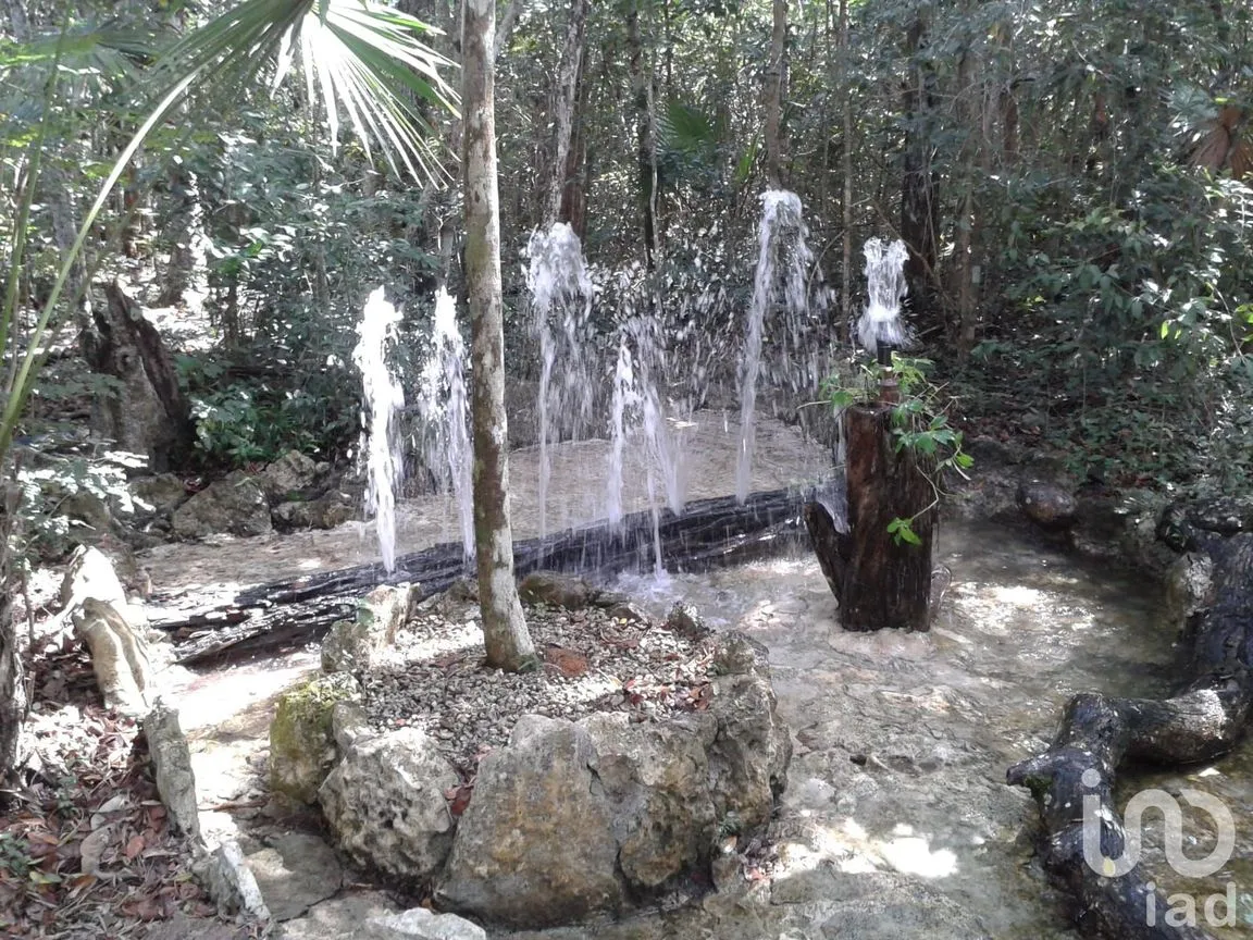 Terreno en Venta en Puerto Morelos, Puerto Morelos, Quintana Roo | NEX-160555 | iad México | Foto 48 de 48