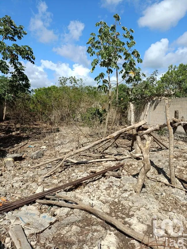 Terreno en Venta en Supermanzana 236, Benito Juárez, Quintana Roo | NEX-190155 | iad México | Foto 3 de 5