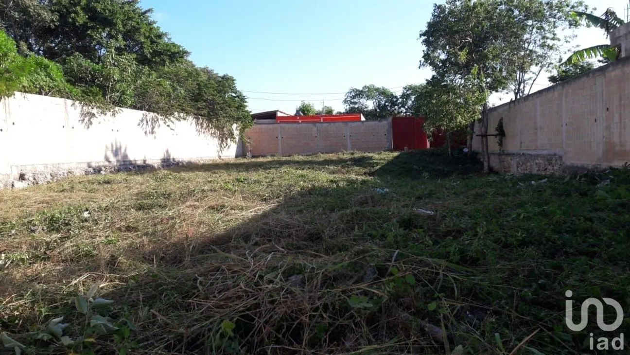Terreno en Venta en Supermanzana 236, Benito Juárez, Quintana Roo | NEX-190155 | iad México | Foto 4 de 5