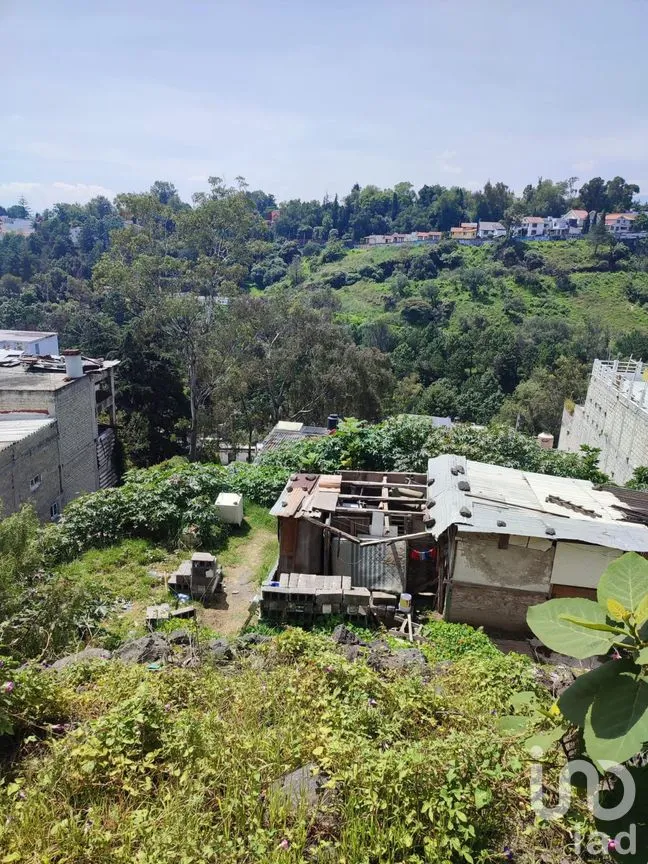Casa en Venta en Ampliación Las Águilas, Álvaro Obregón, Ciudad de México | NEX-234557 | iad México | Foto 8 de 12