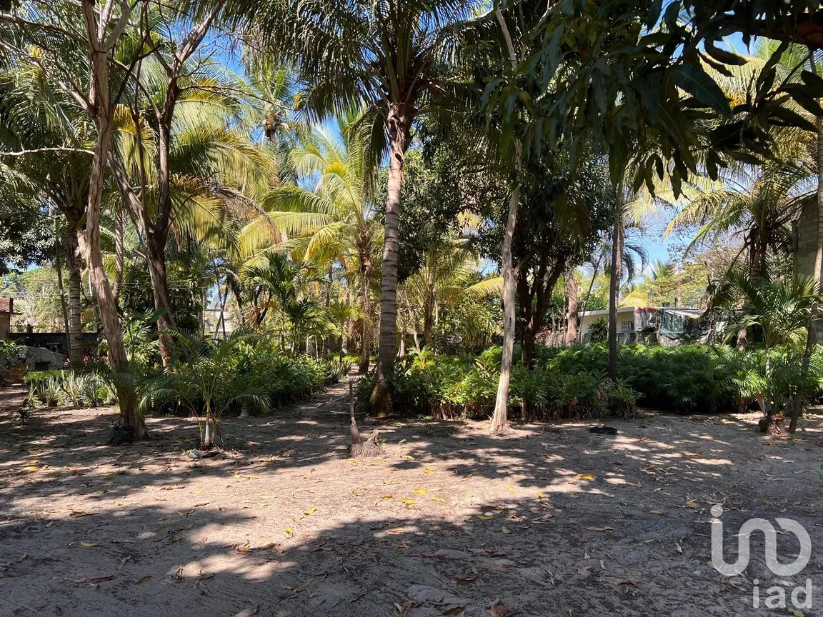 Terreno en Venta en Parque Ecológico de Viveristas, Acapulco de Juárez, Guerrero | NEX-163067 | iad México | Foto 8 de 12