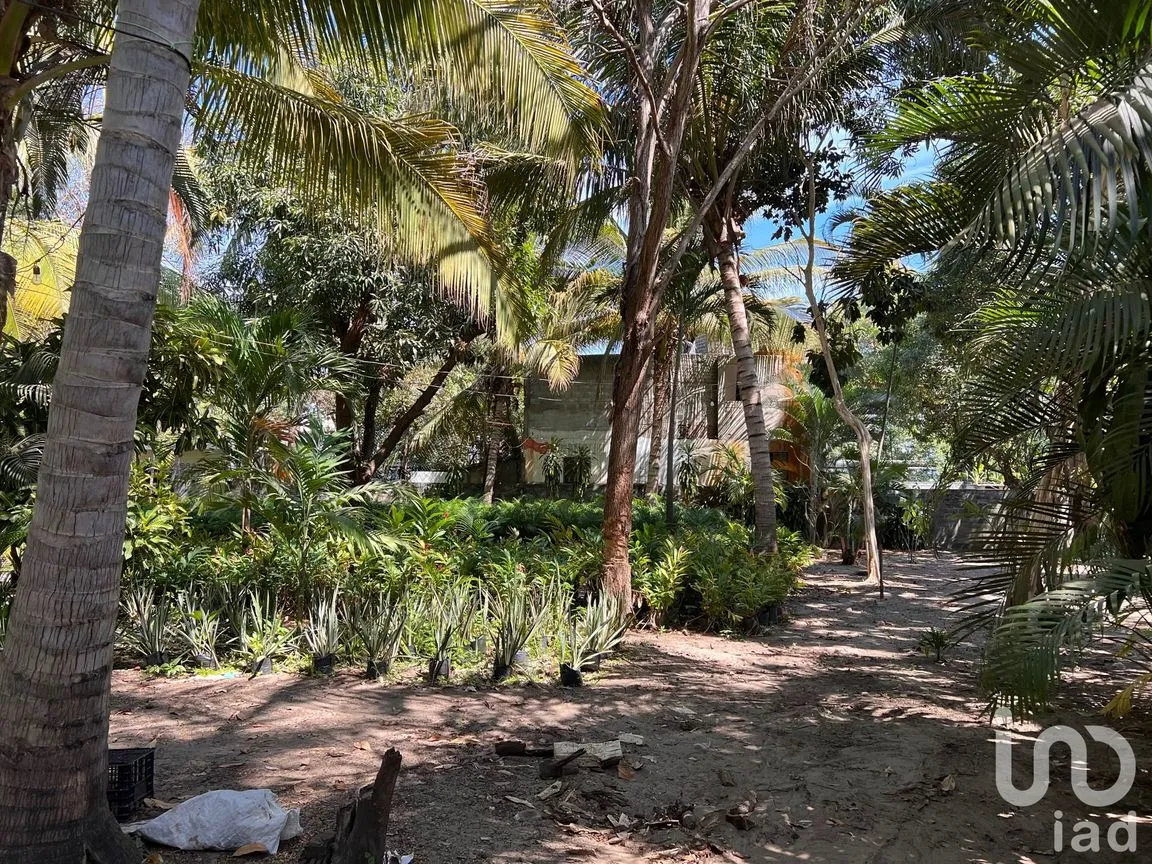 Terreno en Venta en Parque Ecológico de Viveristas, Acapulco de Juárez, Guerrero | NEX-163067 | iad México | Foto 5 de 12